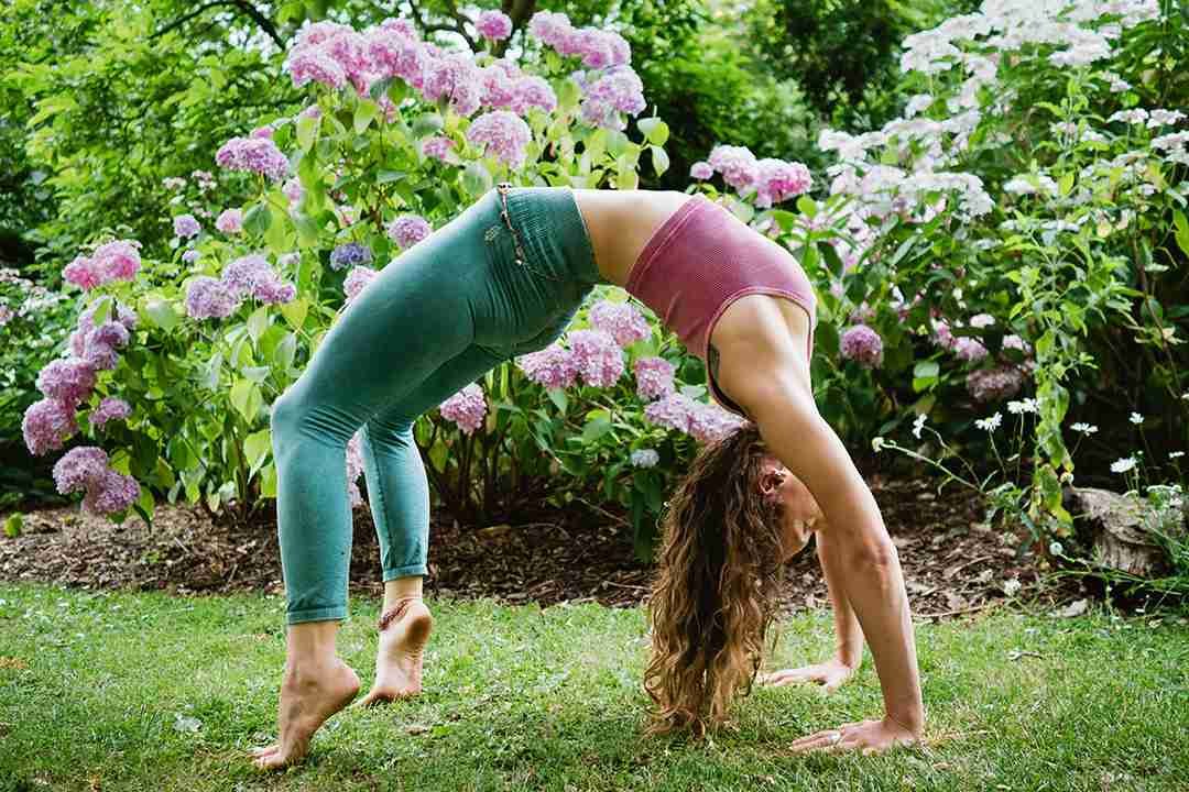 NoemieYoga Wheel