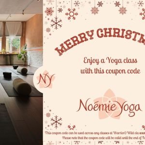 Christmas Gift Special: 1 yoga session for £12