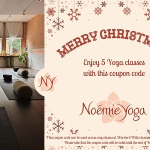 Christmas Gift Special: 5 yoga classes